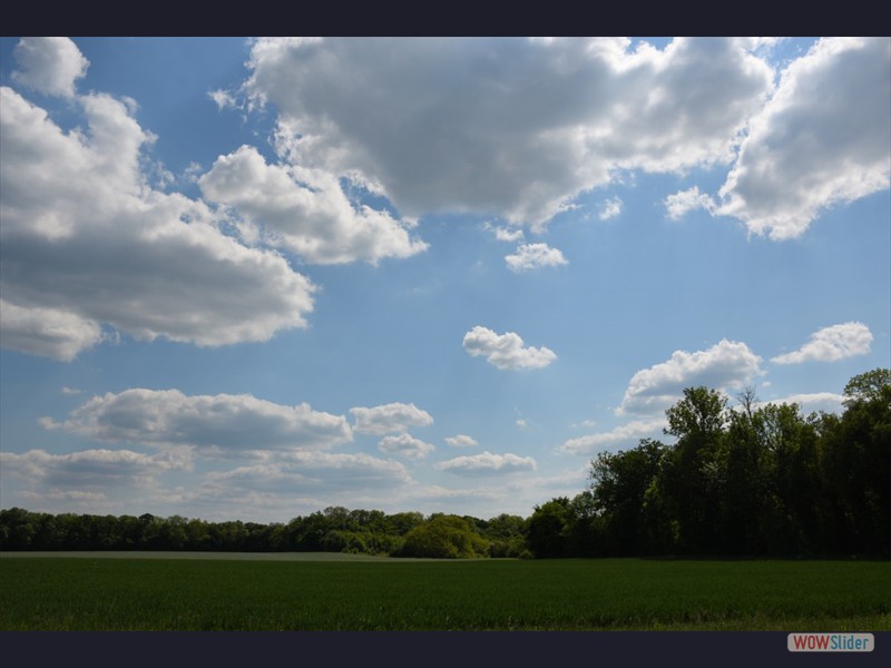 Ciel_champ_0509_2